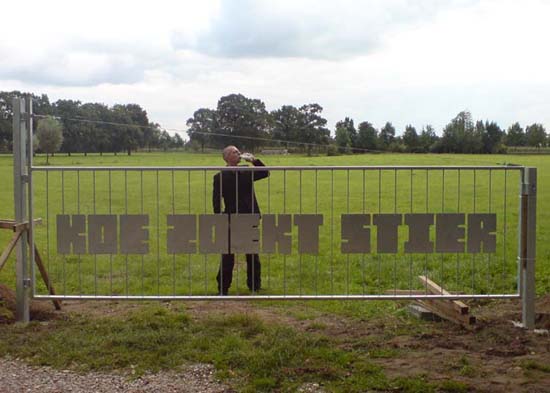 Koe Zoekt Stier